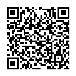 唐劫指了指远处被翻江倒海阵隔绝在外的四大妖神二维码生成