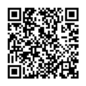 唐卡和身边二三十名同学没有任何区别都是面无表情二维码生成