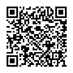 唐天感觉脚下泥土里似乎有什么东西要破土而出二维码生成