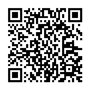 唐嫣儿正在和其余几名掌道师兄围杀一头化婴一阶的独角骨蟒二维码生成