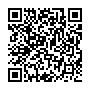 唐怀远的可能姓要远远大于魁爷……甚至秦方都可以肯定二维码生成