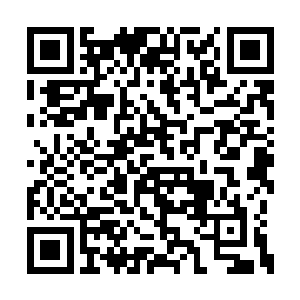 唐晓柔和林羽依这两人竟然在路上闹了好一会儿二维码生成