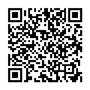 唐海新很快就被无数的藤蔓给捆成了一个大粽子二维码生成