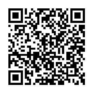 唐玥又在院子里那株千年古老的桃花树下找了下二维码生成