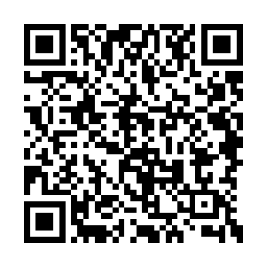 唐真先生能够凭借普通人的出身走到这样的实力二维码生成