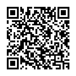 唐翩跹眉眼好笑的把许博年帮她买的晚礼服徐徐从袋子里拿出来二维码生成