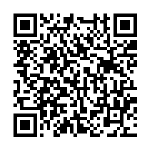 唐翩跹舒服的靠在连俢肆肩上欣赏起了对岸灯火辉煌的夜景二维码生成