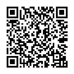 唐铮与栗笑天一直在调查威尔斯究竟与京城哪个家族在合作二维码生成