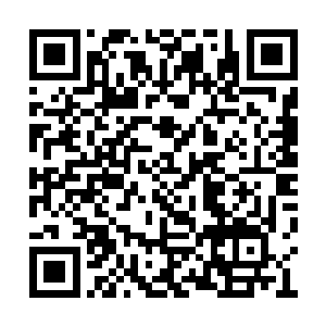 唐铮也没有想到燕青衣会突然变得如此不近人情二维码生成