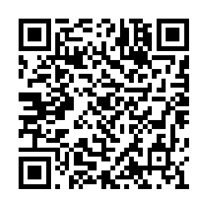 唐铮其实不太愿意不周山曝光在过多人的目光下二维码生成