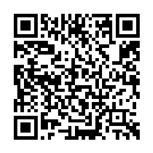 唐铮小心翼翼地取出天香花和其他采购来的药材二维码生成