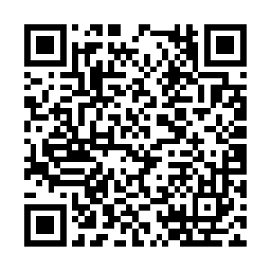 唯一一个例外便是秦方强塞进来的多功能小弟魏锁二维码生成