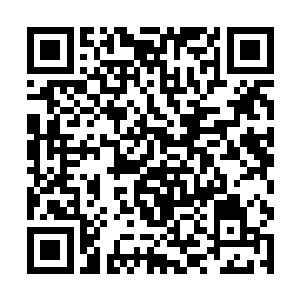 唯一不好的一点就是那些人总要将云二的裤子扒下来二维码生成