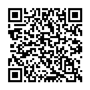 唯一存活的便是指挥大肢体活动的神经还能运行二维码生成