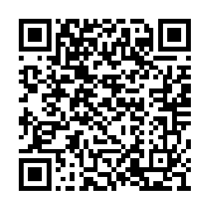 唯一心甘情愿愿意让上车的人估计也只有果而了二维码生成