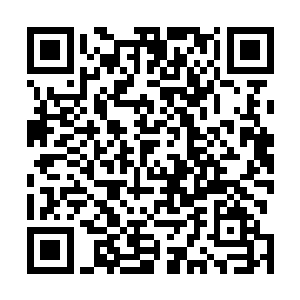 唯一怪异的现象就是这里方圆十几里几乎都没有一只动物二维码生成