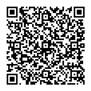 唯一没有被那老头影响到的也只有站在角落里不起眼的流墨墨和广场中央的那个元婴期修仙者二维码生成