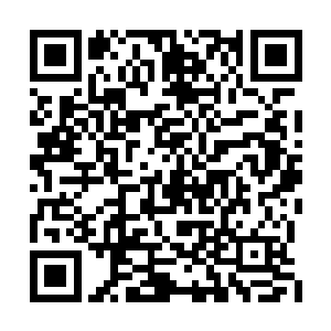 唯一留下的是他母亲已经烧的看不清面目的尸体二维码生成