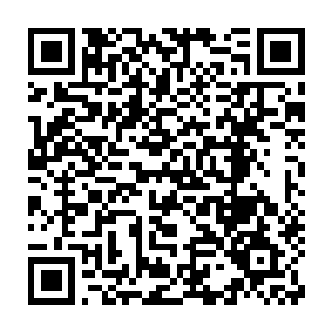 唯一的奢望就是将自己的老婆儿女乃至整个家族都接到武英界来享福二维码生成