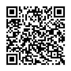 唯一的缺点就是天赋能力远沒有真正的神兽强大二维码生成