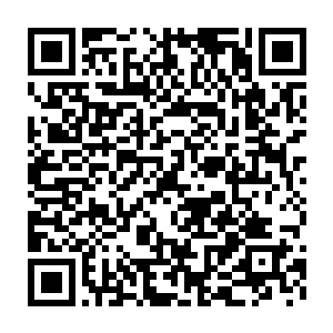 唯一看见的就是七八只灰色的兔子惊慌失措的掠过草尖消失在了远处二维码生成