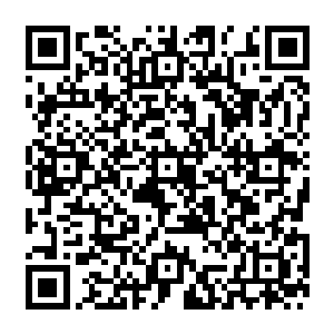 唯一让王长林和苏元两个人感觉可惜的可能就是几个孩子在京城这边逗留不了太长的时间二维码生成