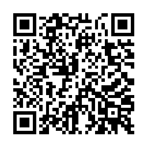 唯二的二代生命古树三百多年前被卡文斯拆了一根二维码生成