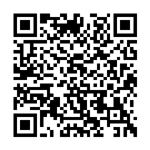 唯有偶尔瞥见下面闪动的警灯在提醒之前的事实二维码生成