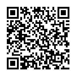 唯有先前那名在真剑阁内劝阻羊铁的那名长老感到有些不妥二维码生成