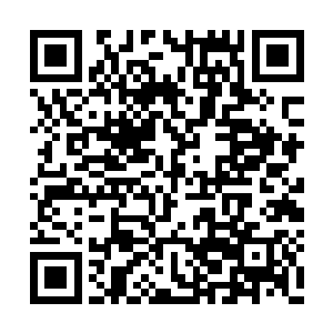 唯有相同等级才能逼迫出真正的实力与潜力……二维码生成