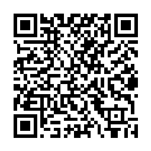 唯独五师兄艾德森此刻双眼放光盯着那一坨坨绿色的大便二维码生成