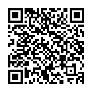 唯独少了火焰教派的准圣子马丁和寒冰教派的准圣女辛西娅两人二维码生成