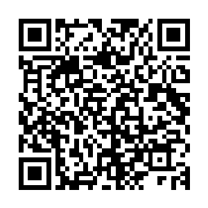 唯独左南春和红尘仙子一直对那岛上的大批人马保持着高度关注二维码生成