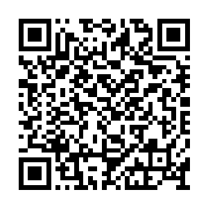 唯独缺少一味上次引起许紫烟爆丹的草药节节高二维码生成