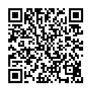唱了一段忽然想起她的绰号已经被改为小白脸了二维码生成