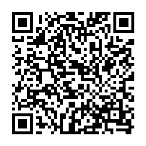 啊……感觉我不小心掌握了一些不该了解的情报啊……你该不会把我灭口吧……二维码生成