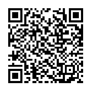 善良的她也知道自己为难这些人完全没有任何作用二维码生成