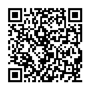 喉咙之间的热血喷射得仿佛是一朵正在盛放的花二维码生成