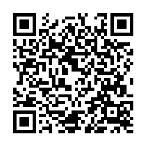 喊着要加入250机甲团做后勤兵的这些优秀军校生们二维码生成
