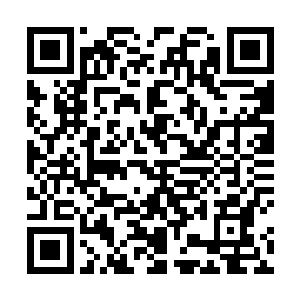 喜姑姑是不是带了采薇姐姐往睐姨娘院里收拾东西去了二维码生成