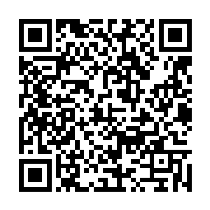 喜娘原先也曾听闻过陆家大小姐陆锦阳的性子脾气二维码生成