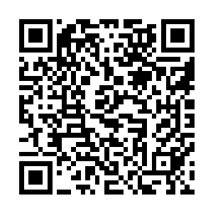 喜欢雪茄的绅士们可以在这里品到来自世界各地的精品雪茄二维码生成