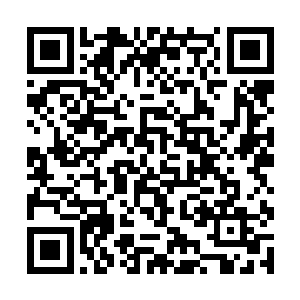 喜的是自己还是能继续和道侣这样日复一日亲近生活二维码生成