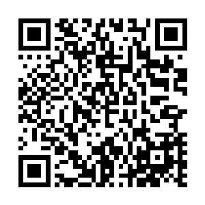 喜臻来到马车旁时他不再像平时那样让她扶着他的肩膀上去二维码生成