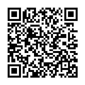 喧闹了大半夜的金沙滩此时还持续着昨夜的热闹嘈杂二维码生成