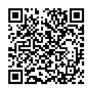 嗖一下就以快得连我创元法都难以看清楚周围景象的速度二维码生成