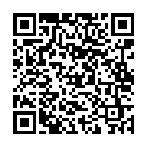 嗖~~~她的身体准确的穿越了一整排古树的所有缝隙二维码生成