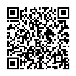 嗡嗡嗡……元气随着功法的运行路线在苏林经脉中快速游走二维码生成