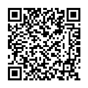 嗤神六宗的元婴老祖加上千竹教的刘立壬和陈丰二维码生成