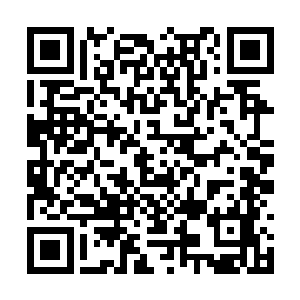 嗯……我上次离开时选的时间跨度是多久来着……二维码生成